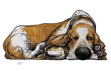 Basset Hound Pet Portrait Canine Caricature By John Lafree Quirky