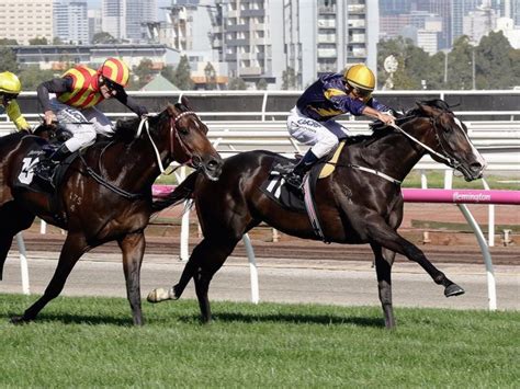 Oreilly Colt Shines In Group One Waikato Stud