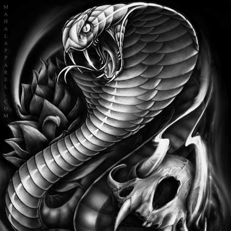 Cobra Snake Tattoo Design Cobra Tattoo Snake Tattoo Design Snake Tattoo