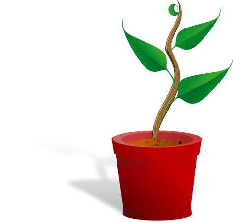 Plant Growing Clipart I2clipart Royalty Free Public Domain Clipart