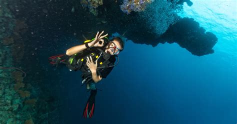 Most Common Diving Hand Signals Scuba Diver Life