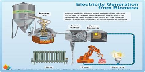 Biomass Energy The Definitive Guide Alternative Energy Sources