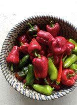 Marina doesn't wear skirts every day. Garden Fresh Homemade Hot Sauce | Eat • Drink • Garden ...