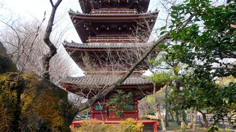 As the tokyo opening ceremonies unfolded, hundreds of protesters carrying placards that read lives over olympics protested around the venue yelling stop the. Old buildings in Tokyo? Yes, plenty! | Exploring Old Tokyo