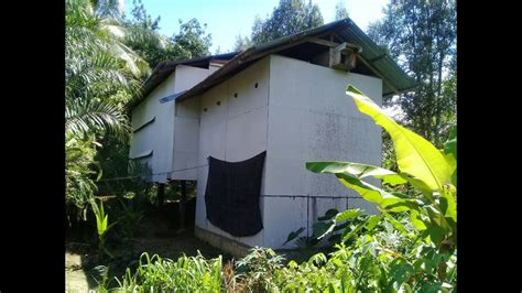 Rumah burung hantu tersebut diperlukan untuk rumah tinggal burung hantu, tempat bertelur dan membesarkan anak, mengintai tikus dan dalam waktu satu tahun, satu ekor burung hantu dapat memangsa 1300 ekor tikus. Rumah Burung Walet Kos Rendah 1 - YouTube