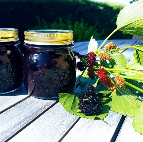 500 g maturi, utilizzare il bimby. Marmellata di more di gelso, una ricetta antica - La ...