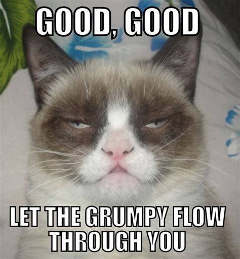 Grumpy Cat Grumpy Cat Darth Vader Meme Good Good Let