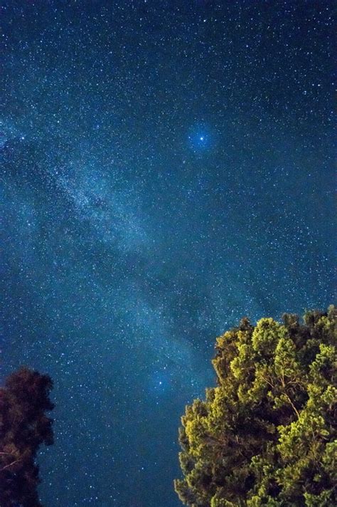 Free Images Tree Nature Glowing Sky Star Milky Way Cosmos