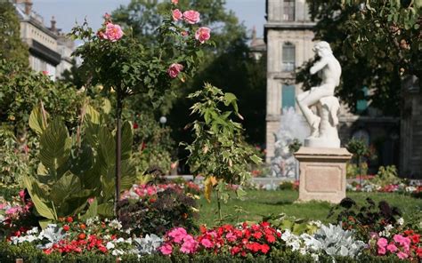 Nos plus belles images d’archives : les fleurs, à l’honneur ce dimanche