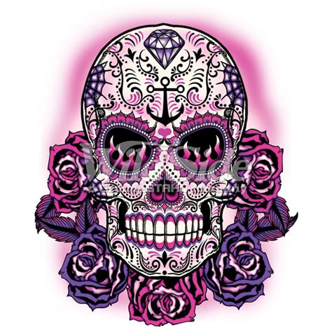 Pink Sugar Skull The Wild Side