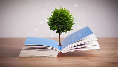 Tree Growing From An Open Book Stock Photo Download Image Now Istock