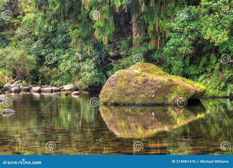 Giant Mossy Boulder Reflected In A New Zealand River Stock Photo