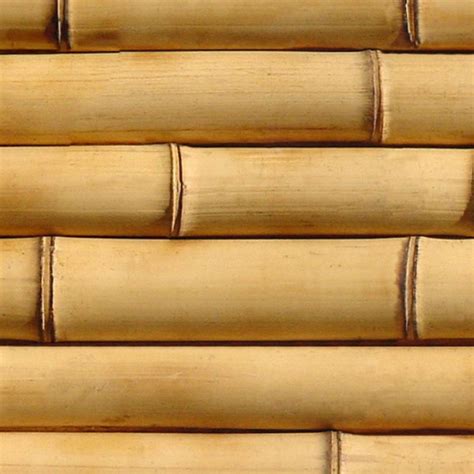 Bamboo Wood Texture Map