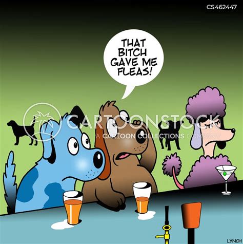 Stis Cartoons And Comics Funny Pictures From Cartoonstock