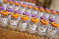 Say Goodbye To Ent Woes Top Doctors In St Louis To Save The Day