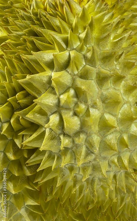 Durian Thorn Background Textures Durian King Of Fruits In Thailand