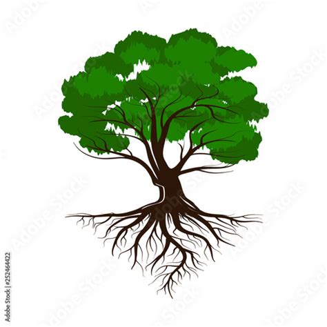 Oak A Green Life Tree With Roots And Leaves Vector Illustration Buy
