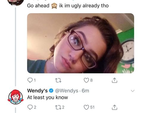 28 New And Absolutely Merciless Roasts From Wendys On Twitter For