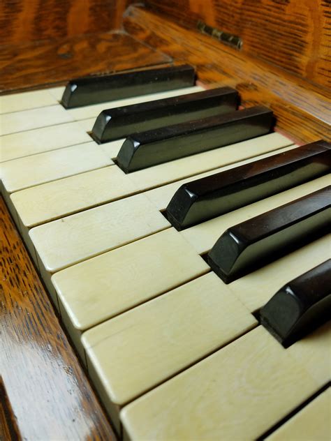 Piano With Ivory Keys Van 247
