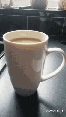 Naked Cups Gif Naked Cups Funny Descubre Comparte Gifs Sexiz Pix