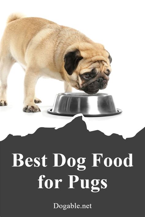 Best Dog Food For Pugs In 2021 Best Dog Food Dog Nutrition Dog Food