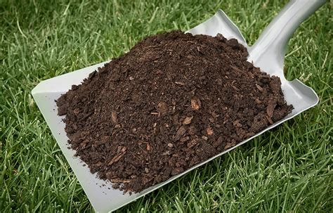 Maybe you would like to learn more about one of these? Is Cow Manure Compost Good For Vegetable Garden - arabic-blog