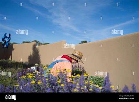 Felmaes hi-res stock photography and images - Alamy