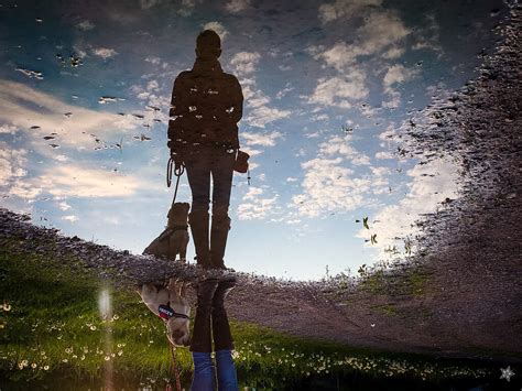 35 Amazing Examples Of Reflection Photography The Photo Argus