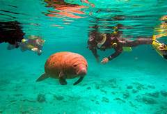 Off The Beaten Path Adventures Discover Hidden Gems On 1 Acre Properties In Wv