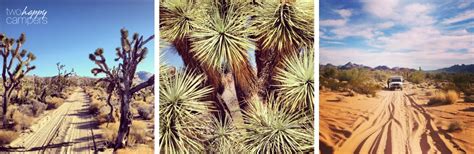 6 Great reasons to camp in the AZ desert during the winter ...