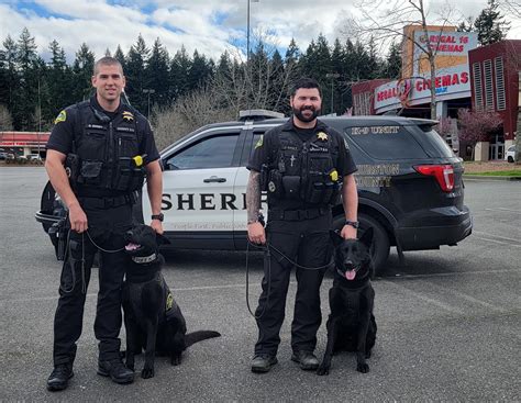 Say Hello to the New K9s for the Thurston County Sheriff’s Office