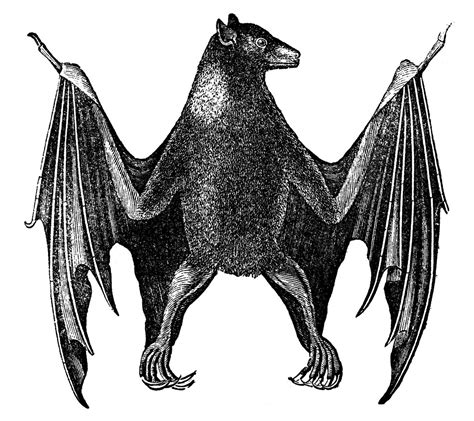 We did not find results for: 12 Bat Images - Vintage Halloween! - The Graphics Fairy