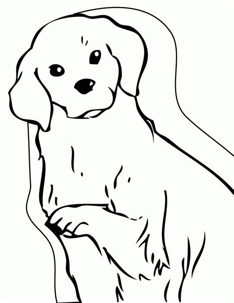 Golden Retriever Puppy Coloring Pages Printable Coloring Home