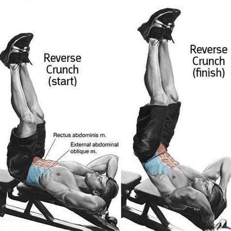 Which one is best and how to do it. TARGET YOUR LOWER ABS - XbodyConcepts