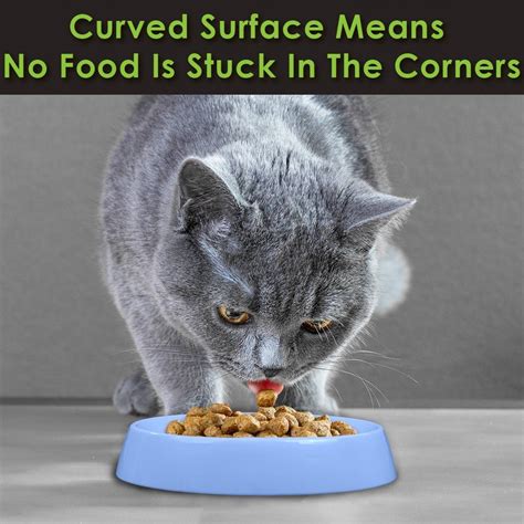 Whiskers fall out just like hair and this is a natural process; CatGuru NEW Premium Whisker Stress Free Cat Food Bowl ...