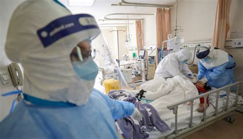 Sebenarnya jika ikan cupang diberi makan berupa makanan yang sudah mati, dalam segi kesehatan dan. Doktor Ini Jelaskan Kenapa Pesakit Kencing Manis & Darah ...