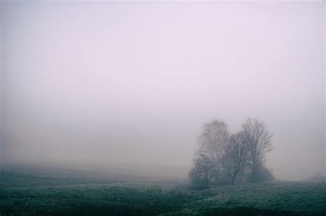 A Foggy Field With A Gray Misty Sky Foggy Field 4k Hd Wallpaper