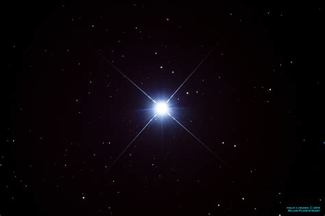 Sirius Star Jersey Skies The Brightest Star In The