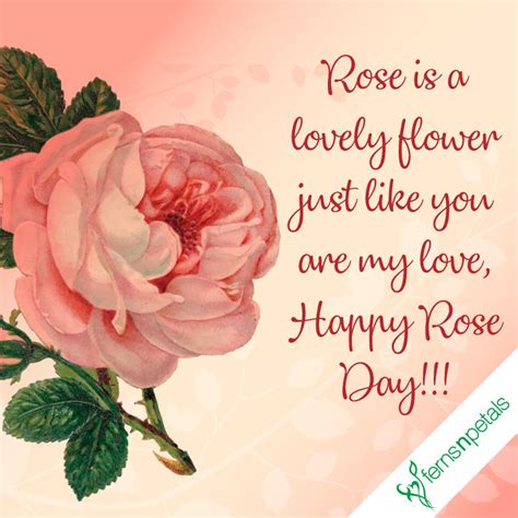 Valentine week starts with the rose day and followed by exciting days as propose day, teddy day, etc., which makes all week interesting and spreads love in. Happy Rose Day Quotes, Wishes N Greetings | Rose Day 2019 - Ferns N Petals