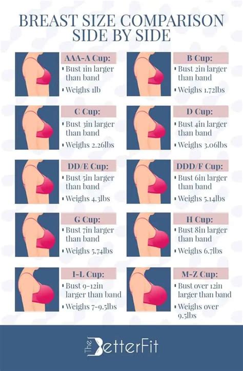 Pin On Bra Fitting Guide