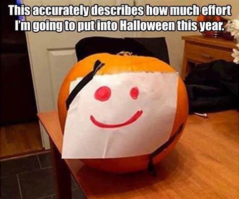 Pin By Trina Horan On Fall And Halloween Fun Best Funny Pictures