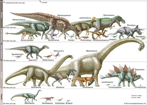 Dinosaur Fossil Reptile In 2020 Dinosaur Posters Dinosaur Art Art