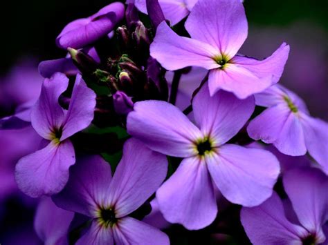 Te amo, escribió la cantante junto al vídeo que recopila varias fotografías de ambos, con una canción de fondo. Significado desde los 16 a los 20 años de casado - Rumbo a ...