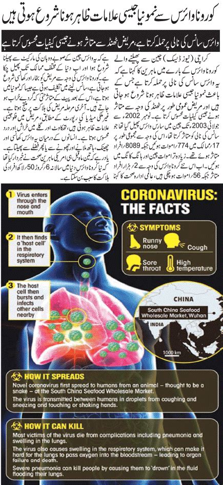 We did not find results for: Coronavirus Symptoms Urdu - coronavirus symptoms 2020