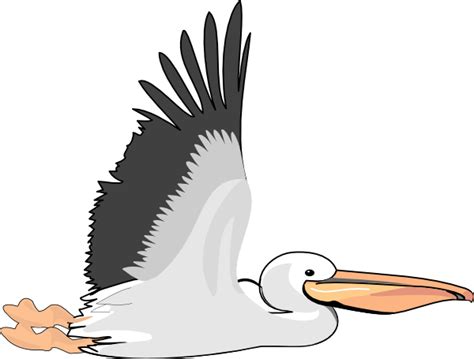 Pelican Clip Art At Vector Clip Art Online Royalty Free