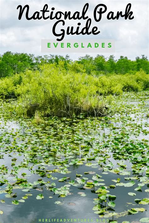 This Adventure Guide To Everglades National Park Will Explore The