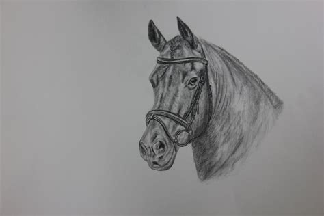Makkelijk bladzijden omslaan en kleuren! Getekend portret van uw paard | Bokt.nl
