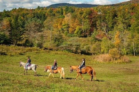 Take A Fall Foliage Trail Ride On Horseback At Lajoie Stables In
