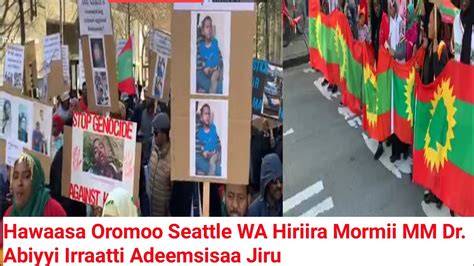 Hawaasa Oromoo Seattle Wa Hiriira Mormii Mm Dr Abiyyi Irraatti