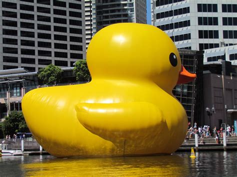 A View Of Sydney Rubber Duck